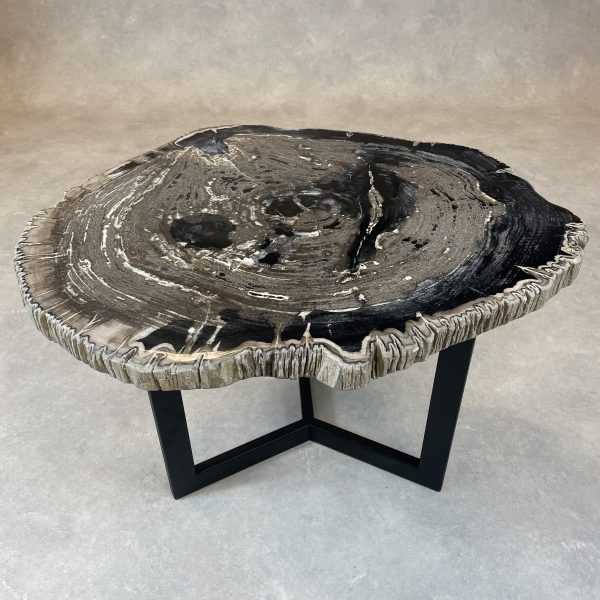 Couchtisch aus versteinertem Holz - Mix #326B10