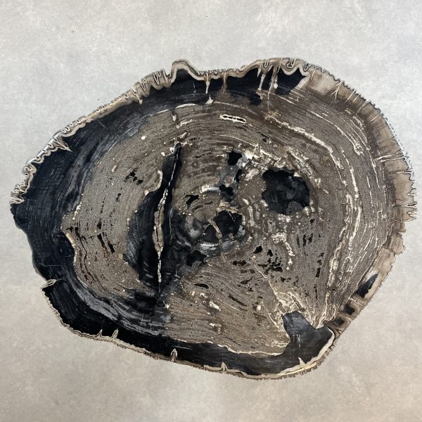 Couchtisch aus versteinertem Holz - Mix #326B10 – Bild 2