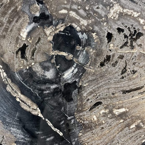 Couchtisch aus versteinertem Holz - Mix #326B10 – Bild 3