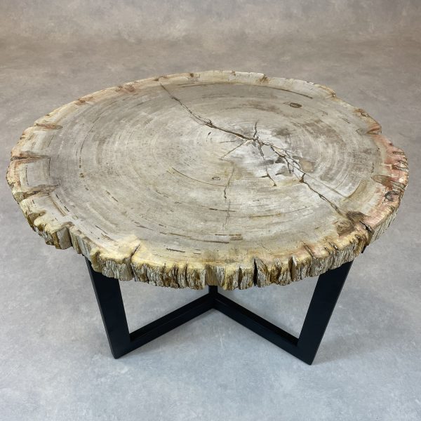 Versteend hout salontafel
