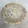 Versteend hout salontafel