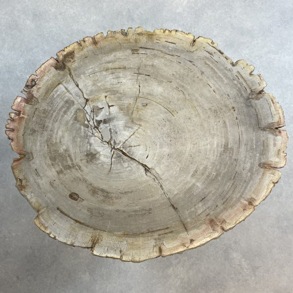 Versteend hout salontafel