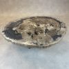 Versteend hout salontafel