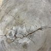Versteend hout salontafel
