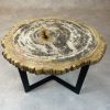 Couchtisch aus versteinertem Holz