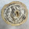 Couchtisch aus versteinertem Holz