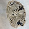 Couchtisch aus versteinertem Holz