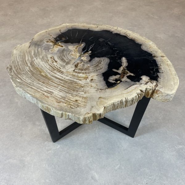 Couchtisch aus versteinertem Holz