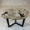Couchtisch aus versteinertem Holz
