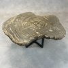 Versteend hout salontafel