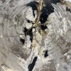 Couchtisch aus versteinertem Holz