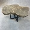 Versteend hout salontafel