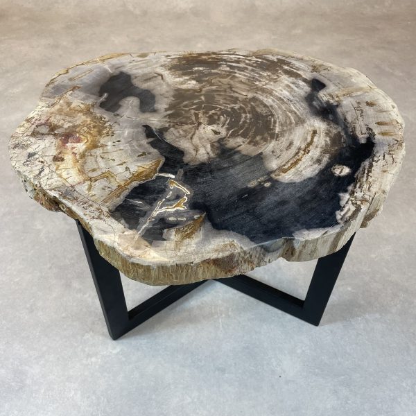 Versteend hout salontafel