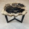 Versteend hout salontafel