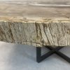 Versteend hout salontafel