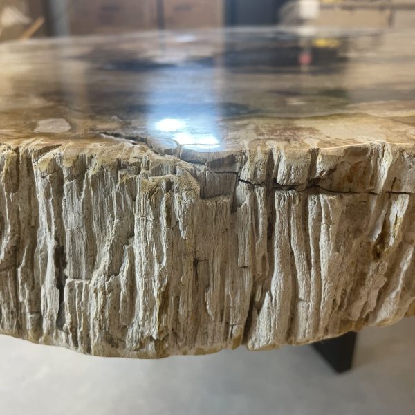 Versteend hout salontafel