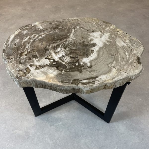 Couchtisch aus versteinertem Holz