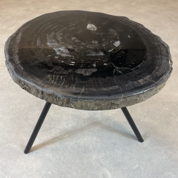Versteend hout salontafel