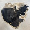 Versteend hout salontafel