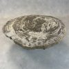 Versteend hout salontafel