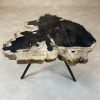 Versteend hout salontafel