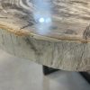 Versteend hout salontafel