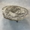 Versteend hout salontafel
