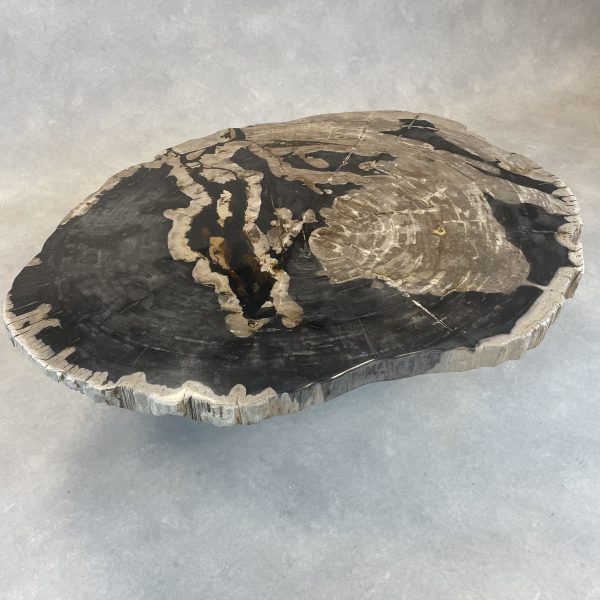 Versteend hout salontafel