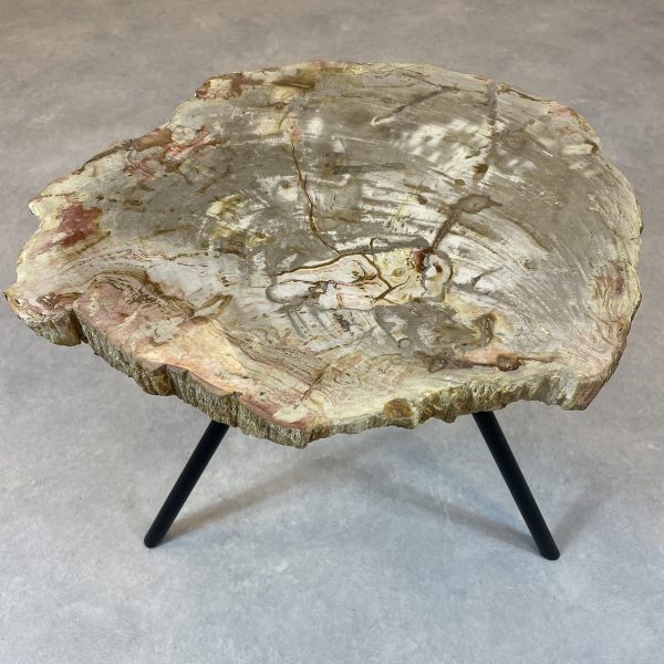 Versteend hout salontafel