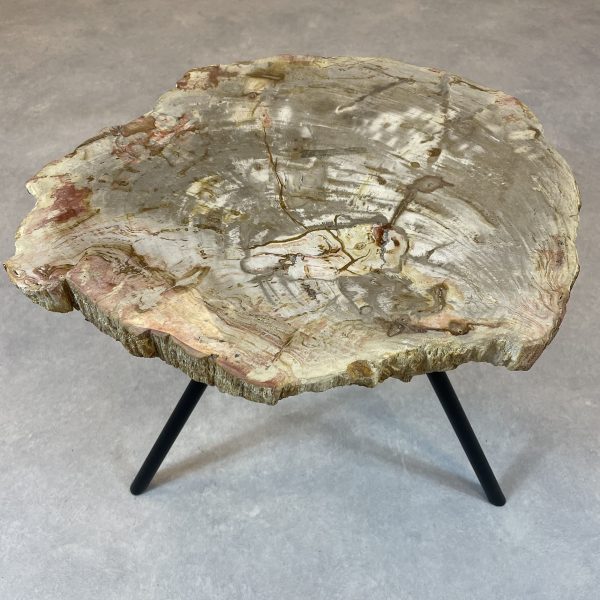 Couchtisch aus versteinertem Holz