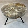 Versteend hout salontafel - Beige #172B3