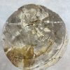 Versteend hout salontafel - Beige #172B3 - Afbeelding 2