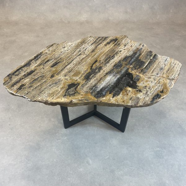 Versteend hout salontafel