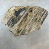 Versteend hout salontafel