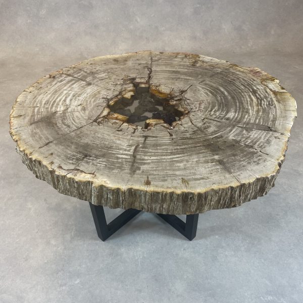 Versteend hout salontafel
