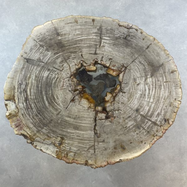 Versteend hout salontafel