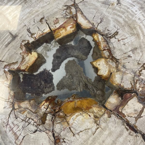 Versteend hout salontafel