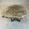 Versteend hout salontafel