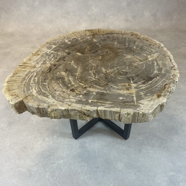 Versteend hout salontafel