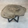 Versteend hout salontafel