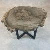 Versteend hout salontafel