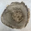 Versteend hout salontafel