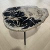 salontafel versteend hout