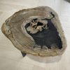 salontafel versteend hout