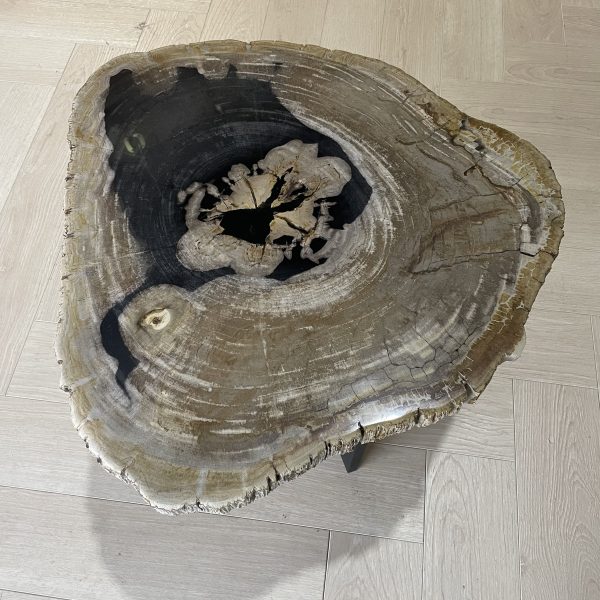 salontafel versteend hout