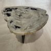 Versteend hout salontafel