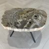 Versteend hout salontafel