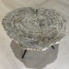 Versteend hout salontafel