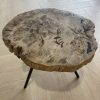 Versteend hout salontafel