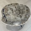 Versteend hout salontafel
